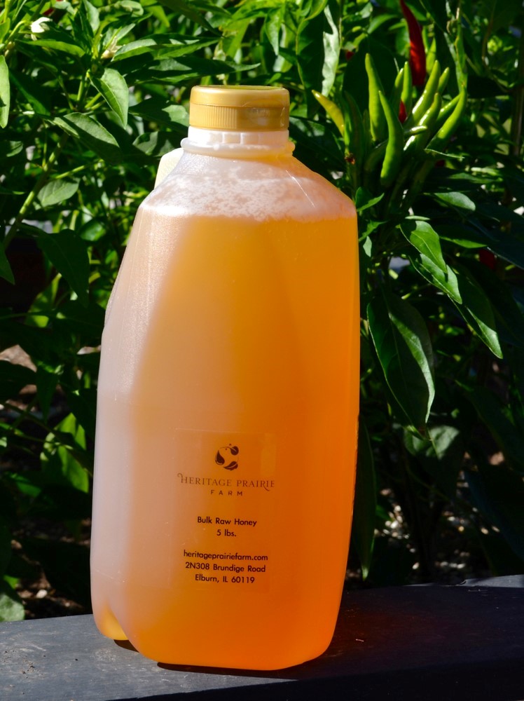  Garlic And Honey Benefits Heather Ridge Fayetteville AR